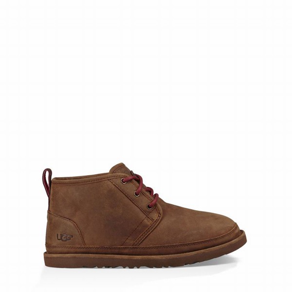 Brown UGG Neumel Wp Boots For Men | UK 00763